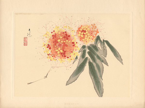 石崎光瑤「新進花鳥画集より」