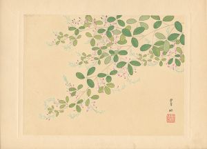 Ogawa Suison / Bush Clover