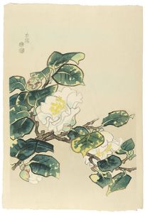 Kotozuka  Eiichi / White Camellia