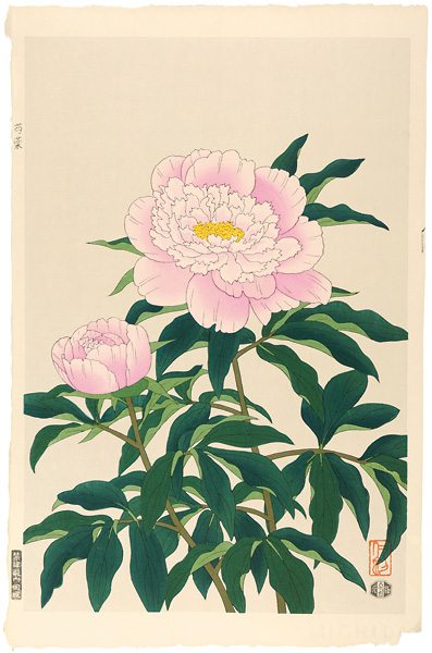 Ito Nisaburo “Peony,pink”
