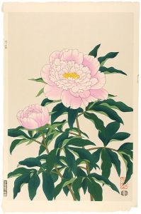Ito Nisaburo / Peony,pink