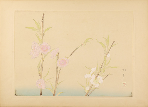Tonouchi Misyo “from New Flowers-and-birds drawing”