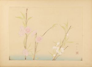 Tonouchi Misyo / from New Flowers-and-birds drawing