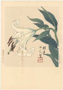 Matsubayashi Keigetsu / 百合（仮題）