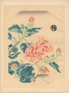Kotozuka  Eiichi / 花（仮題）