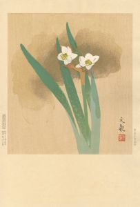Tsuneoka Bunki / 水仙（仮題）