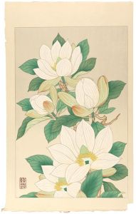 Unknown / 木蓮（仮題）