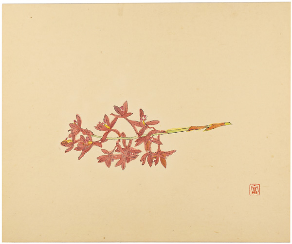 Tomimoto Kenkichi “蘭花”