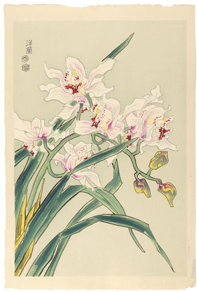 Kotozuka  Eiichi “Orchid”