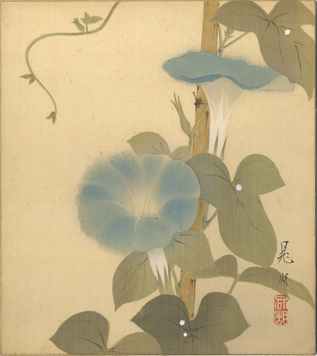 Kamoshita Choko “自筆色紙　朝顔”