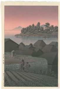 天草本領