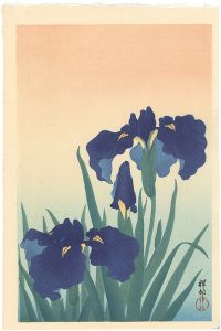 かきつばた