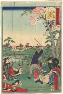 一景「東京名所三十六戯撰　向しま蓮花寺」