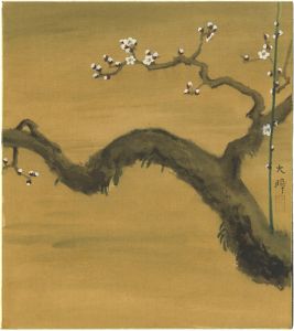 Hirasawa Sadamichi / Painting : White Plum