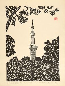 Hiratsuka Unichi / Summer of Islamic Mosque and Cultural Center, Washington DC