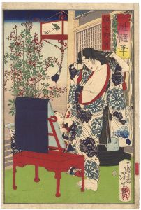 Essays by Yoshitoshi / Kaoyo Gozen