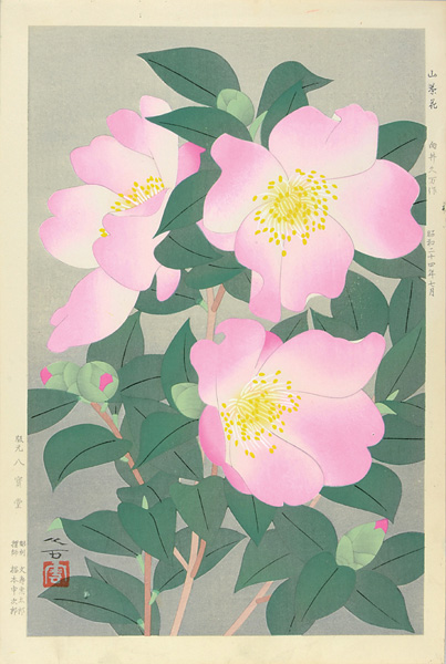 向井久万「山茶花」