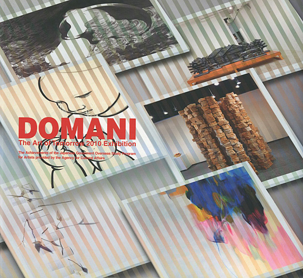 「DOMANI・明日展2010 未来を担う美術家たち」