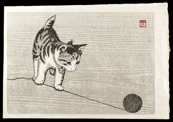 Aoyama Masaharu “Cat (tentative title) ”