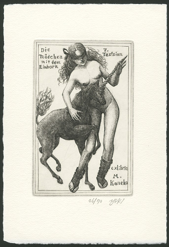 Hayashi Yukiko “Meiner einzigen Sehnsucht Die Madchen mit dem Einhorn V. Tastsinn”