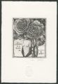 Les LITANIES de la ROSE II.