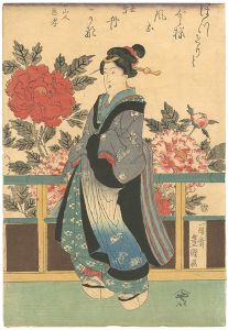 美人