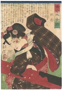 Mirror of Beauties Past and Present / Shushiki