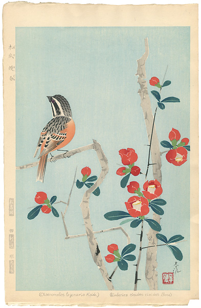 Nakamura Shundei “Japanese Quince & Bunting”