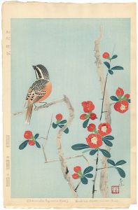 Nakamura Shundei / Japanese Quince & Bunting