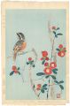 Japanese Quince & Bunting
