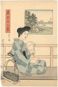 12 Views of Tokyo / Mukojima