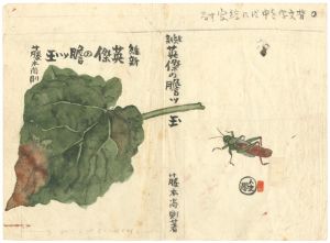 Nakagawa Kazumasa / 自筆装丁画　「維新英傑の膽ツ玉」　藤本尚則著