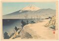 36 Views of Mt. Fuji / Izu Eri......