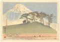 36 Views of Mt. Fuji / Mt. Fuj......