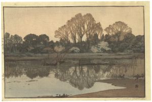 Yoshikawa (Yoshi River)