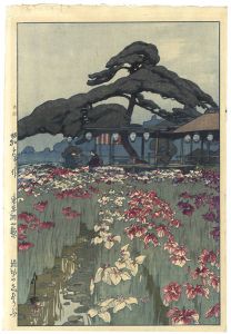 12 Scenes of Tokyo / The Iris Garden at Horikiri