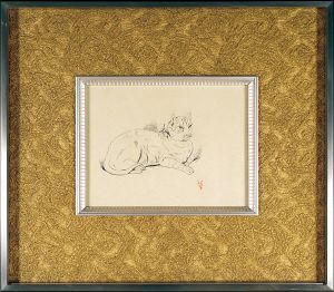 Yasui Sotaro / Cat