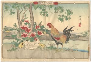 Rinsai / 花鳥画譜 [花鳥画譜]