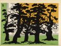 Pine Forest
