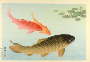 Ohara Koson(Shoson)	 / Carp