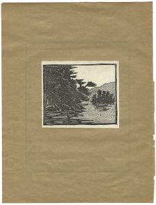 Sato Yonejiro / Lake Towada