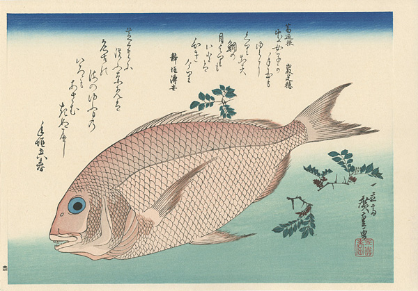 広重初代「魚づくし　鯛に山椒 【復刻版】」