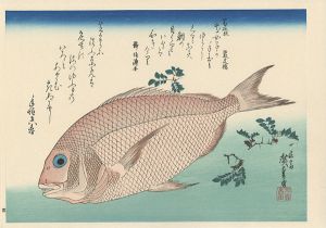 魚づくし　鯛に山椒 【復刻版】