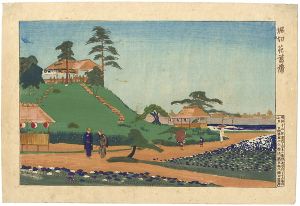 Kiyochika / The Iris Garden at Horikiri  [堀切花菖蒲]