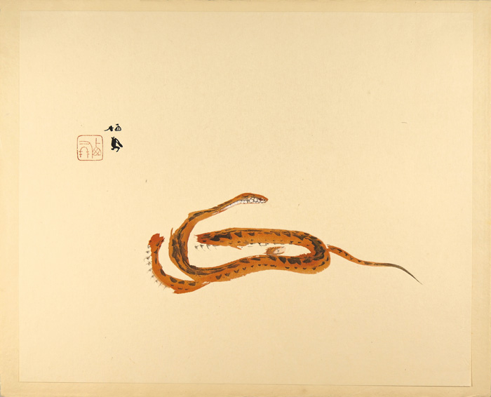 Takeuchi Seiho “Snake”
