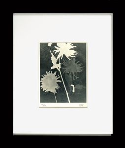 Man Ray / Rayograph