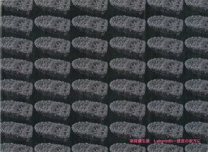 草間彌生展 Labyrinth 迷宮の彼方に
