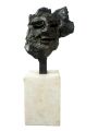 Man 's Face