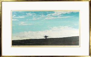 Hoshi Joichi / Landscape(D)