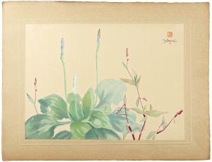 おほばこ